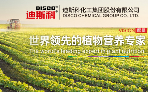 迪斯科化工集團(tuán)股份有限公司