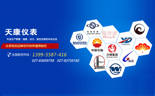 武漢天康儀表有限公司