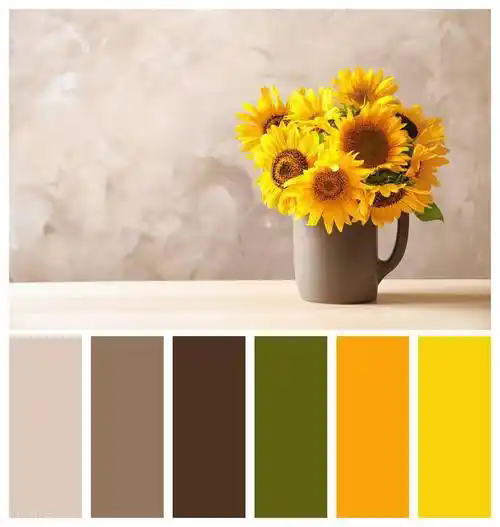 武漢網(wǎng)站建設中色彩搭配的具體技巧有哪些？